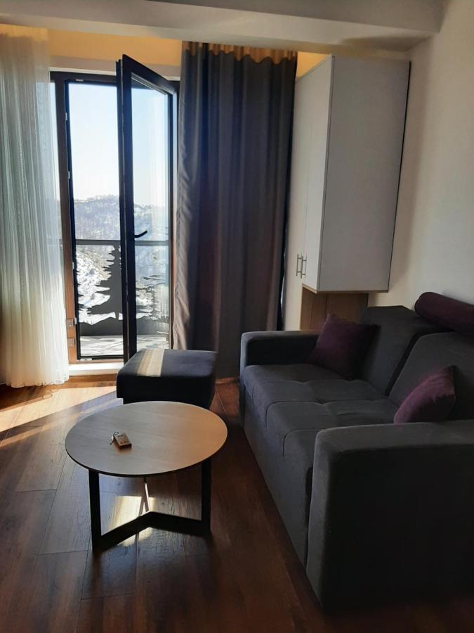 Vihor A21 Apartment Kopaonik Exterior foto