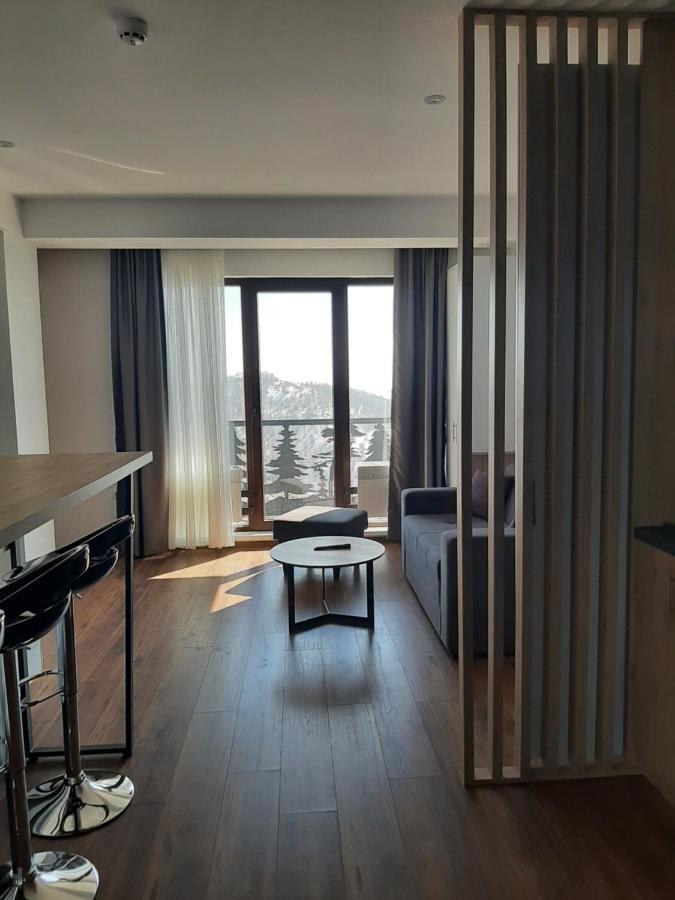 Vihor A21 Apartment Kopaonik Exterior foto
